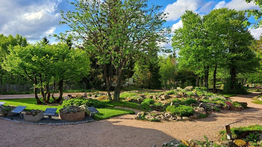 Altitude du Haut Chitelet Garden, Xonrupt-Longemer, France, France